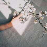 ヒメ日記 2026/03/13 00:49 投稿 ひなた ミラー