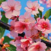 ヒメ日記 2026/03/14 07:02 投稿 ひなた ミラー