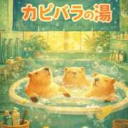 ヒメ日記 2026/03/16 20:00 投稿 ひなた ミラー
