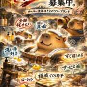 ヒメ日記 2026/03/24 08:29 投稿 ひなた ミラー