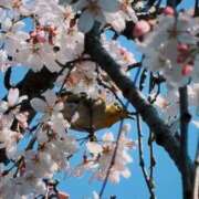 ヒメ日記 2026/03/28 14:45 投稿 ひなた ミラー