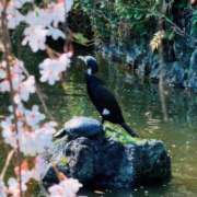 ヒメ日記 2026/03/28 19:06 投稿 ひなた ミラー