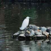ヒメ日記 2026/03/28 21:31 投稿 ひなた ミラー