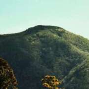 ヒメ日記 2026/03/31 06:30 投稿 ひなた ミラー