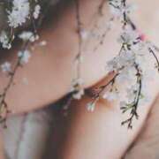 ヒメ日記 2026/04/05 06:00 投稿 ひなた ミラー