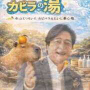 ヒメ日記 2026/04/10 11:45 投稿 ひなた ミラー