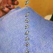 ヒメ日記 2026/04/15 11:15 投稿 ひなた ミラー