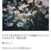 ヒメ日記 2026/04/17 15:45 投稿 ひなた ミラー