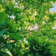 ヒメ日記 2026/04/20 23:34 投稿 ひなた ミラー