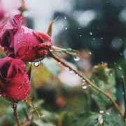 ヒメ日記 2026/04/27 10:37 投稿 ひなた ミラー