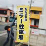 ヒメ日記 2026/04/28 07:45 投稿 ひなた ミラー