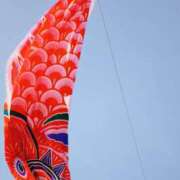 ヒメ日記 2026/04/28 11:00 投稿 ひなた ミラー