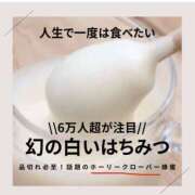 ヒメ日記 2025/01/14 18:11 投稿 めろん ミラー