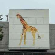 ヒメ日記 2025/11/02 11:45 投稿 めろん ミラー