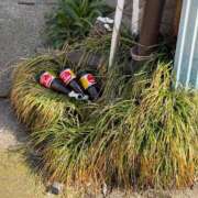 ヒメ日記 2026/03/27 15:26 投稿 めろん ミラー