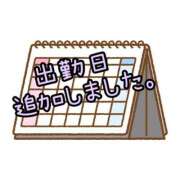ヒメ日記 2025/05/11 09:40 投稿 ふたば ミラー