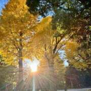 ヒメ日記 2025/12/02 14:52 投稿 ふたば ミラー