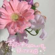 ヒメ日記 2025/03/04 12:00 投稿 あゆ ミラー