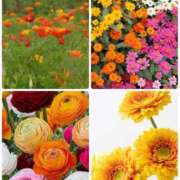 ヒメ日記 2025/06/03 14:10 投稿 あゆ ミラー