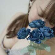 ヒメ日記 2025/11/19 20:45 投稿 あゆ ミラー