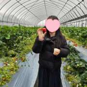 ヒメ日記 2025/03/20 14:21 投稿 すみれ リッチドールパート2梅田店