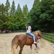 ヒメ日記 2025/09/17 00:05 投稿 すみれ リッチドールパート2梅田店