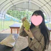 ヒメ日記 2025/11/06 10:33 投稿 すみれ リッチドールパート2梅田店