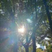 ヒメ日記 2025/09/26 11:37 投稿 ゆず 丸妻 新横浜店