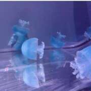 ヒメ日記 2025/05/12 13:00 投稿 かおり Lesson.1福岡校