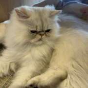 ヒメ日記 2025/09/08 12:14 投稿 らん 舐めフェチの会