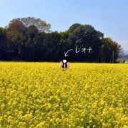 ヒメ日記 2026/04/20 08:11 投稿 Leona LUXURY（ラグジュアリー）