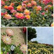 ヒメ日記 2025/05/19 21:24 投稿 天音(あまね) PLUS梅田店