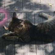 ヒメ日記 2024/12/12 10:13 投稿 京本 ミセスの手ほどき