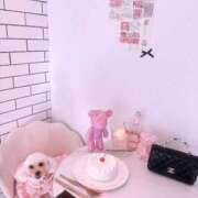 ヒメ日記 2024/12/19 10:29 投稿 せいか♪ プリティーガール