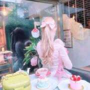 ヒメ日記 2024/12/21 07:43 投稿 せいか♪ プリティーガール