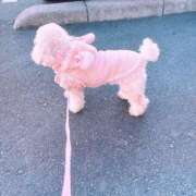 ヒメ日記 2025/01/14 21:25 投稿 せいか♪ プリティーガール