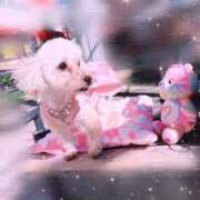 ヒメ日記 2025/02/25 07:45 投稿 せいか♪ プリティーガール