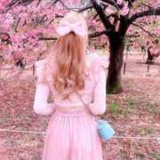 ヒメ日記 2025/03/14 12:09 投稿 せいか♪ プリティーガール