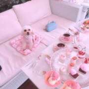 ヒメ日記 2025/03/16 18:05 投稿 せいか♪ プリティーガール