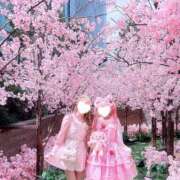 ヒメ日記 2025/04/09 16:33 投稿 せいか♪ プリティーガール