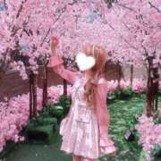 ヒメ日記 2025/04/14 08:05 投稿 せいか♪ プリティーガール