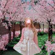 ヒメ日記 2025/04/20 13:08 投稿 せいか♪ プリティーガール