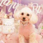 ヒメ日記 2025/05/30 07:35 投稿 せいか♪ プリティーガール