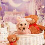 ヒメ日記 2025/05/30 16:35 投稿 せいか♪ プリティーガール