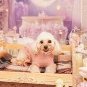 ヒメ日記 2025/06/06 00:17 投稿 せいか♪ プリティーガール