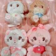 ヒメ日記 2025/06/11 10:39 投稿 せいか♪ プリティーガール