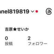 ヒメ日記 2025/12/02 21:25 投稿 せいか♪ プリティーガール