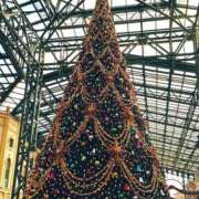 ヒメ日記 2025/12/20 09:15 投稿 せいか♪ プリティーガール