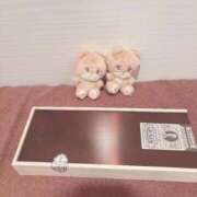 ヒメ日記 2026/01/25 07:35 投稿 せいか♪ プリティーガール