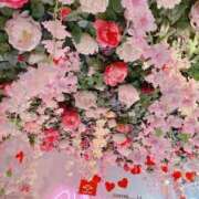 ヒメ日記 2026/02/26 06:15 投稿 せいか♪ プリティーガール